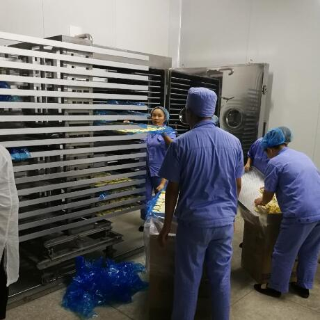 北京同仁堂  50平方凍干機