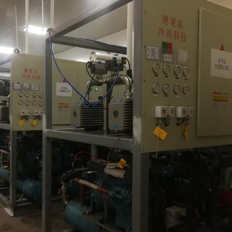 東陽光集團（冬蟲夏草）  20平方*8套，30平方*3套凍干機